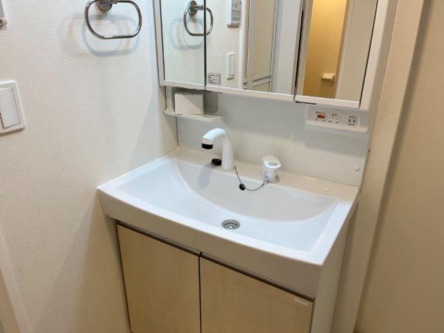 プレジール　柏の葉105号室 洗面