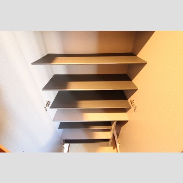 アヴニール シューズボックス