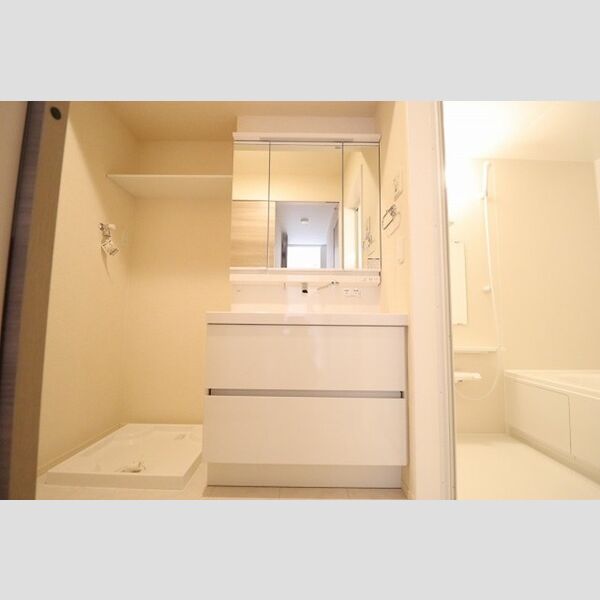 リアルコートE 洗髪洗面化粧台