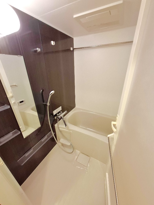 DIPS赤羽北EAST4階 部屋その他