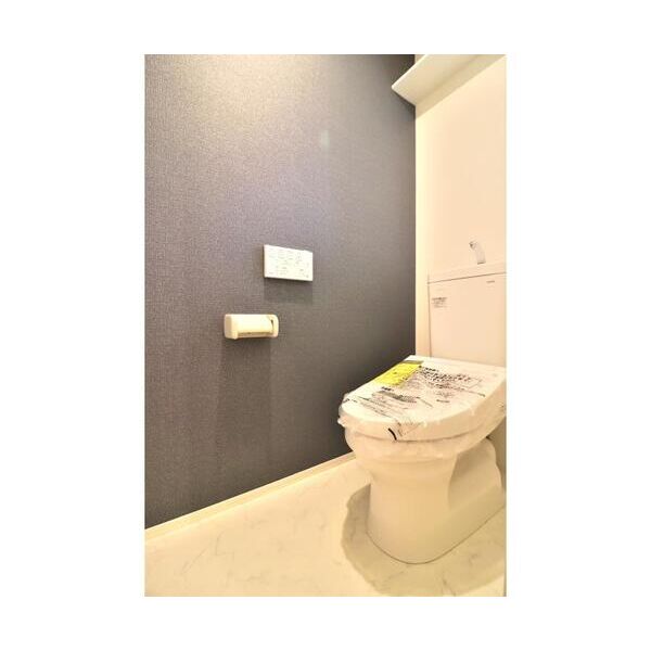 Carpe　Diem202号室 トイレ