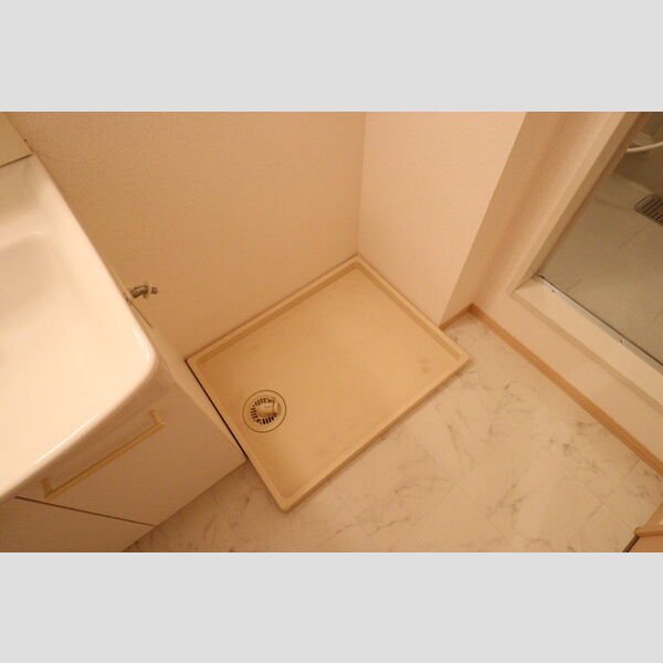 サンパーク　Ⅱ C101号室 室内洗濯機置場