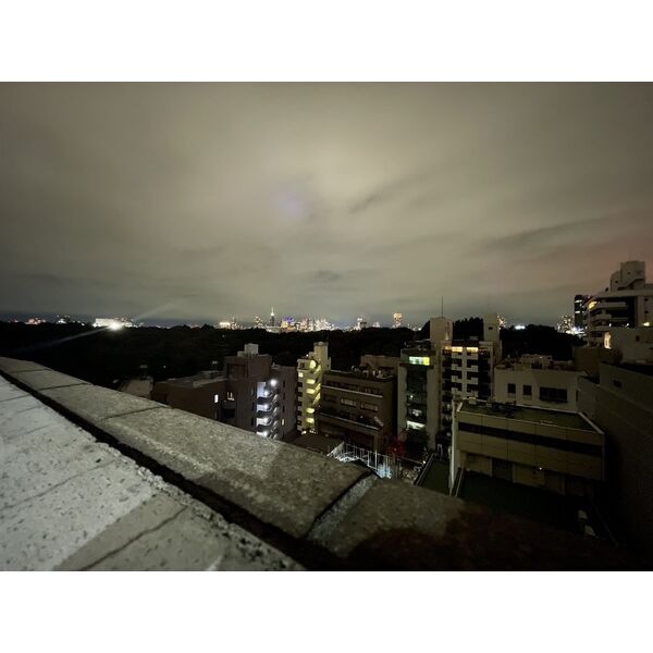 ミリオングランデ元赤坂ヒルズ10階 部屋その他