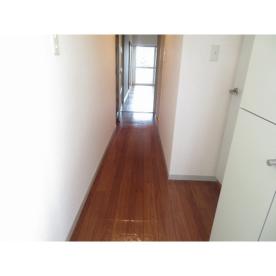 エレガンス綾瀬４0407号室 玄関