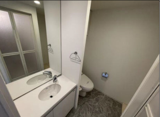 ジオーブルミナス704号室 洗面