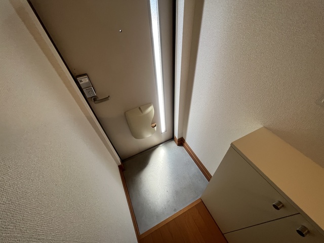 サンイング所沢0309号室 玄関
