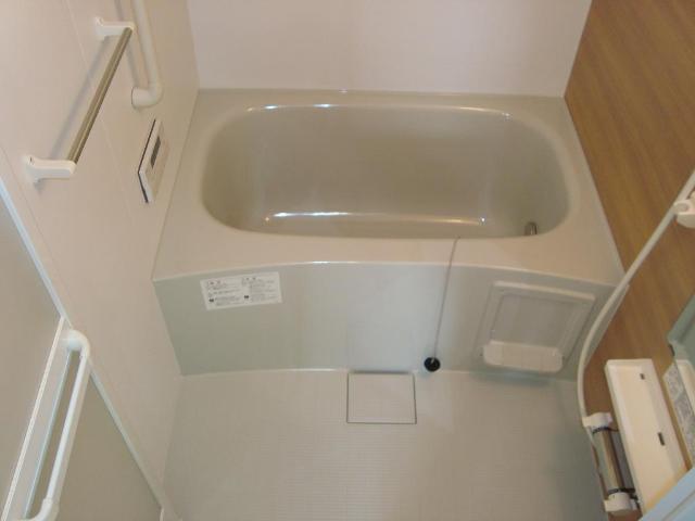 Ｆ＆Ｒ　Ⅱ202号室 浴室