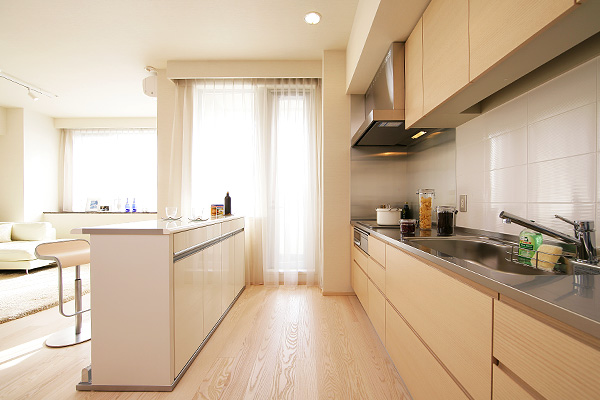 ホライズンプレイス赤坂14階 キッチン