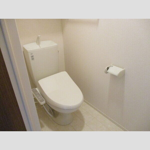 プチクールⅢ・Ⅴ　Ⅴ Ⅴ307(トイレ)