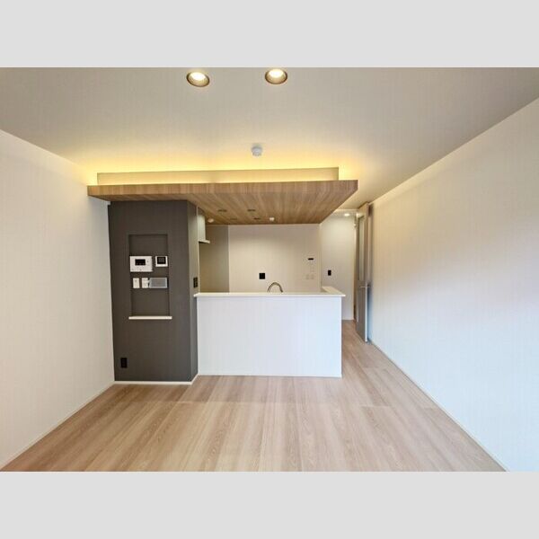 Auspicious　House302号室 LDK12.2帖(別角度)