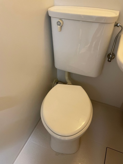 グリーンハウスＮｏ２0108号室 トイレ