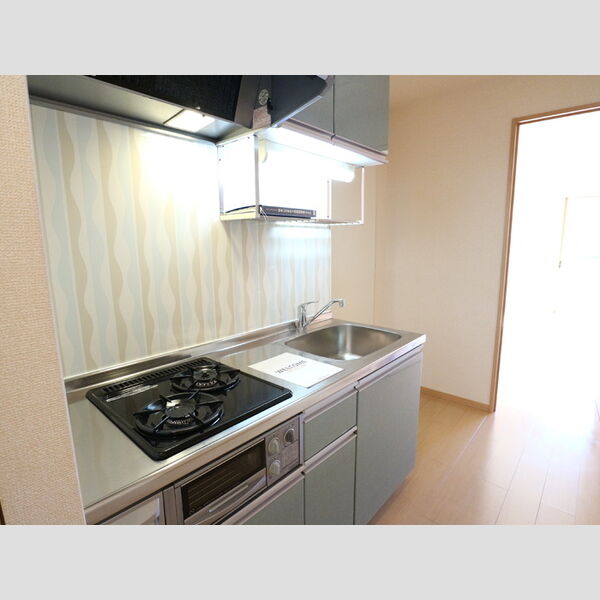 ルインズ・イン・マルヤマ　ABCDEFB205号室 キッチン