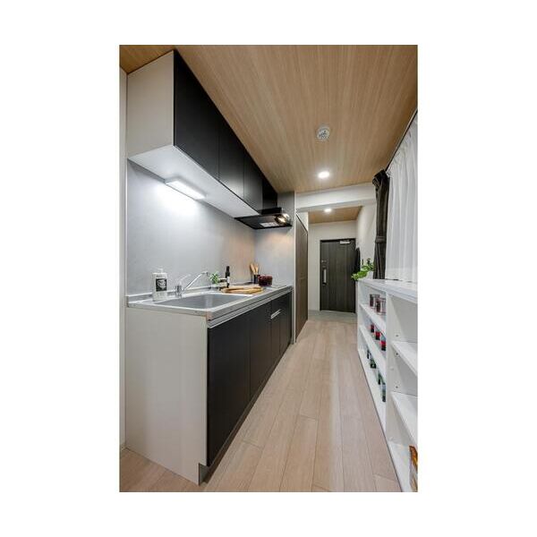 Ecoluxe401号室 キッチン