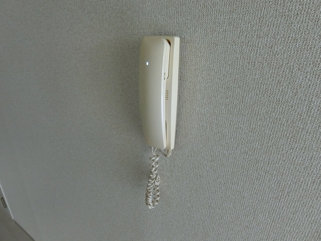 グリーンプラザ２0102号室 セキュリティ