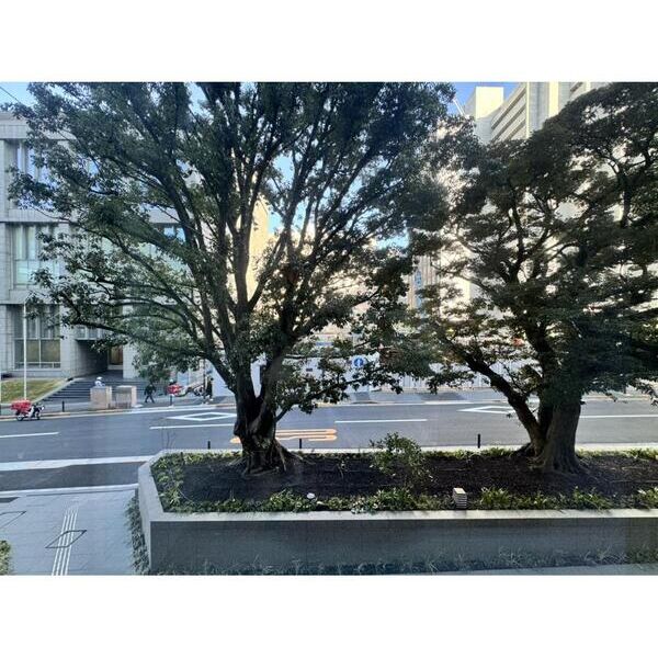 パークコート　ザ・三番町ハウス207号室 部屋その他