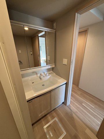 グランディアラフィーネ0406号室 洗面