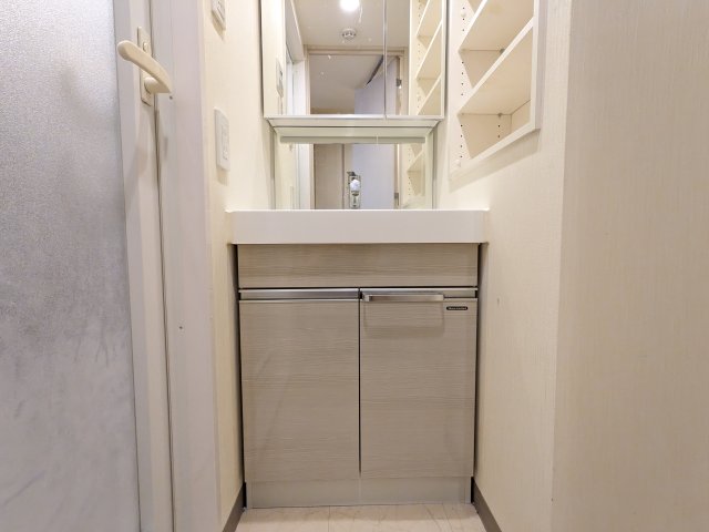 ケーディーエックスレジデンス豊洲306号室 洗面