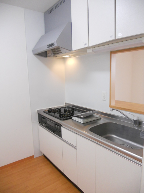 フラワーヴィレッジ0207号室 キッチン