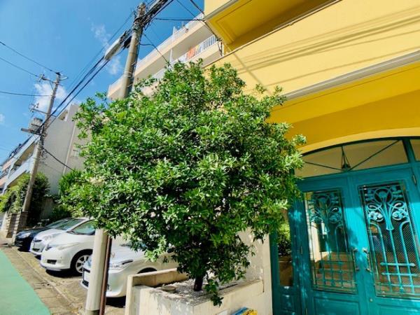 カーザ・クレアトーレ2階 部屋その他