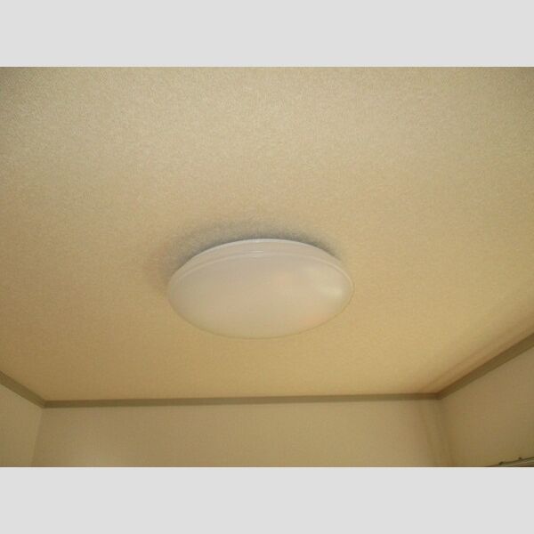 スカイネオコーポDE　D205号室 LED照明