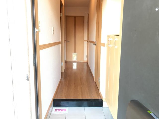 シンフォニー105号室 玄関