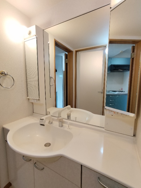 サンヴィアーレ一橋学園2階 洗面