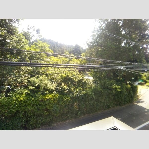 ツイン オークス コート 　South・CenterS106号室 バルコニー