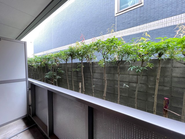 コゥジィーコート綱島0103号室 展望