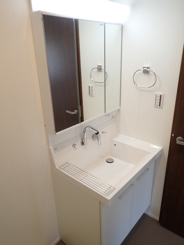 メゾンドールⅩ 洗面