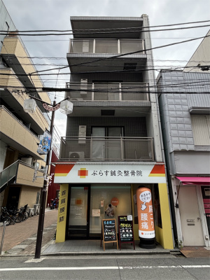 メイプル新丸子の外観画像