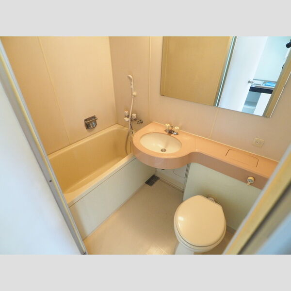 germer武蔵中原(ジェルメムサシナカハラ)302号室 バス