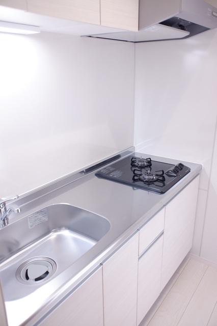 Ｌｅｓ　Ｍｅｒｖｅｉｌｌｅｕｓｅｓ202号室 キッチン