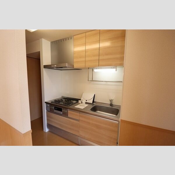 レジデンス　Ⅲ システムキッチン