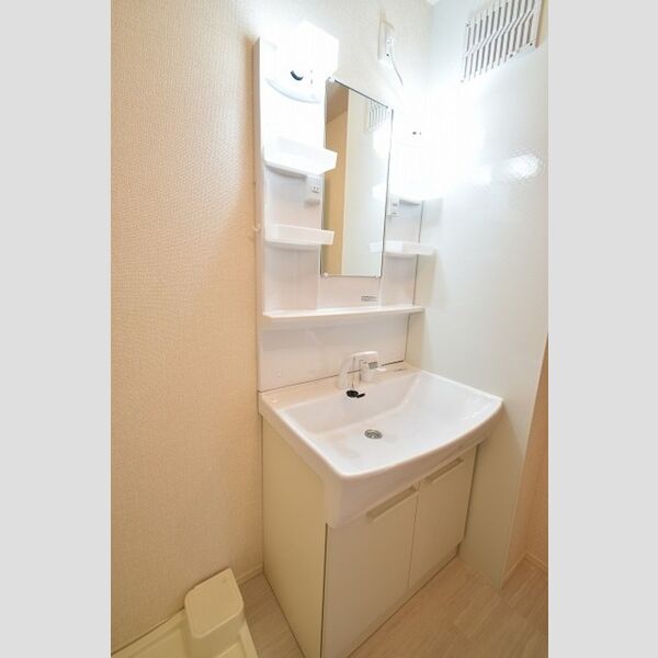 エスコートみなみ　A棟201号室 洗髪洗面化粧台