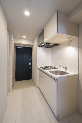 DIPS墨田EAST201号室 キッチン