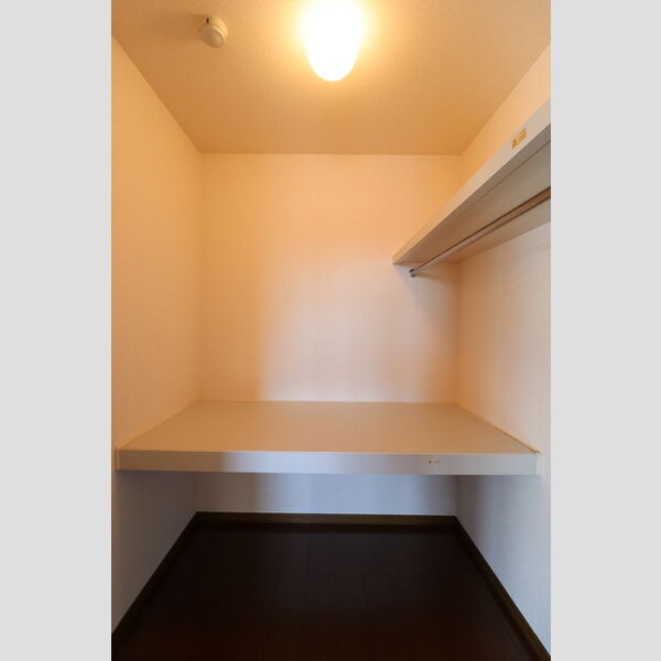 セジュール山の根206号室 ウォークインクローゼット