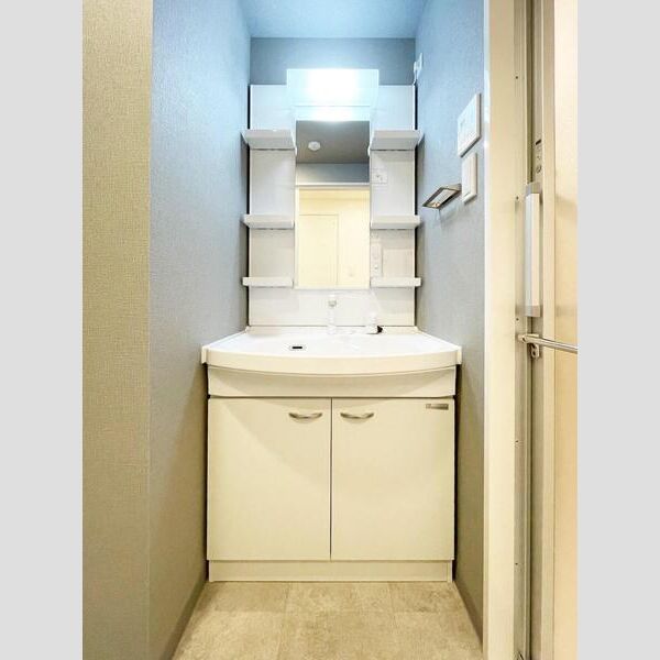 Alivis東瑞江306号室 洗面