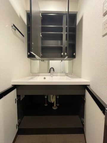 DIPS北千住603号室 洗面
