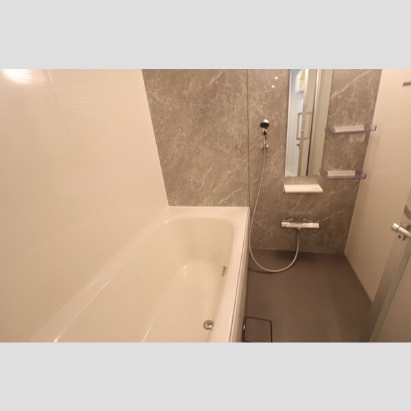 D-residence所沢206号室 浴室