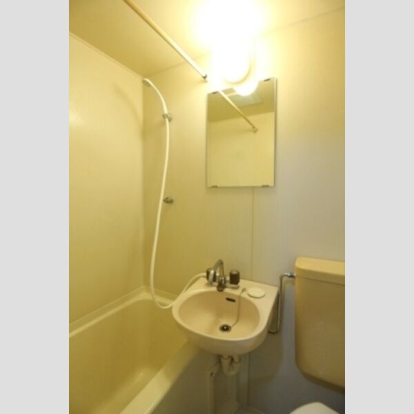 グリーンプラザ　A107号室 洗面台