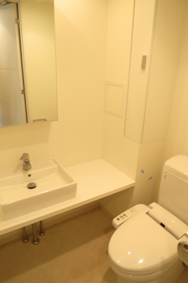 プライムアーバン田園調布南103号室 洗面