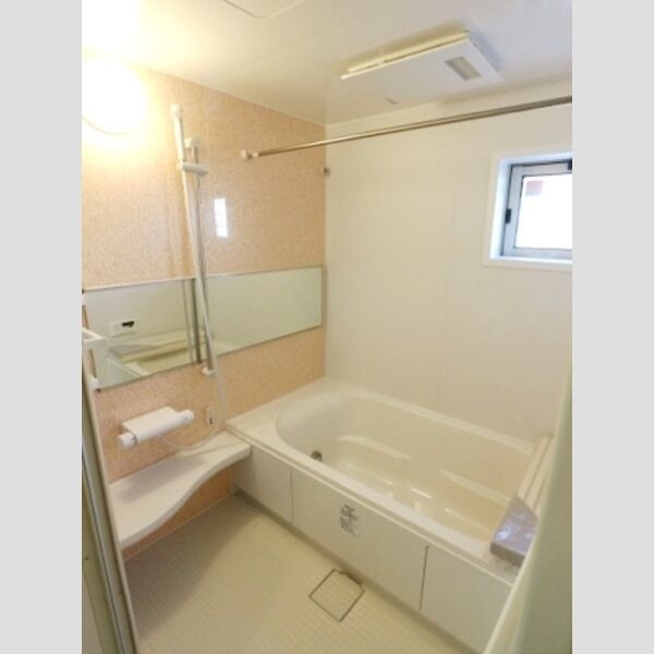 BLESS HOUSE柏西町　D106号室 バスルーム