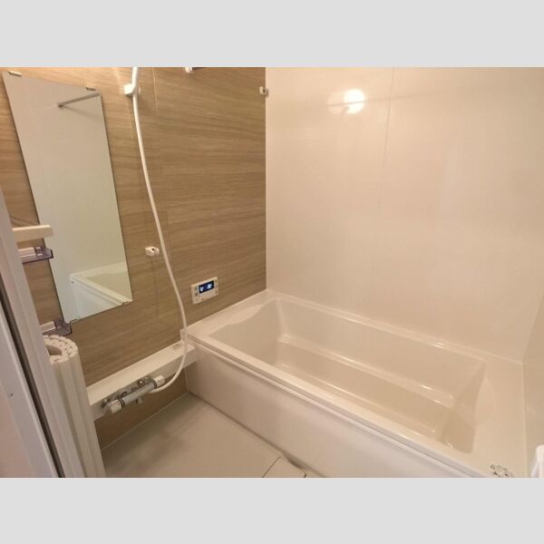 ロイジェントパークス レイクタウン Ⅱ　F 一坪風呂