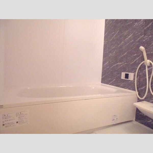 セントラルパーク201号室 一坪風呂