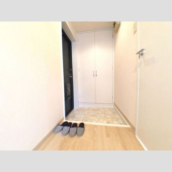 ビラ・フラワーヒル102号室 玄関