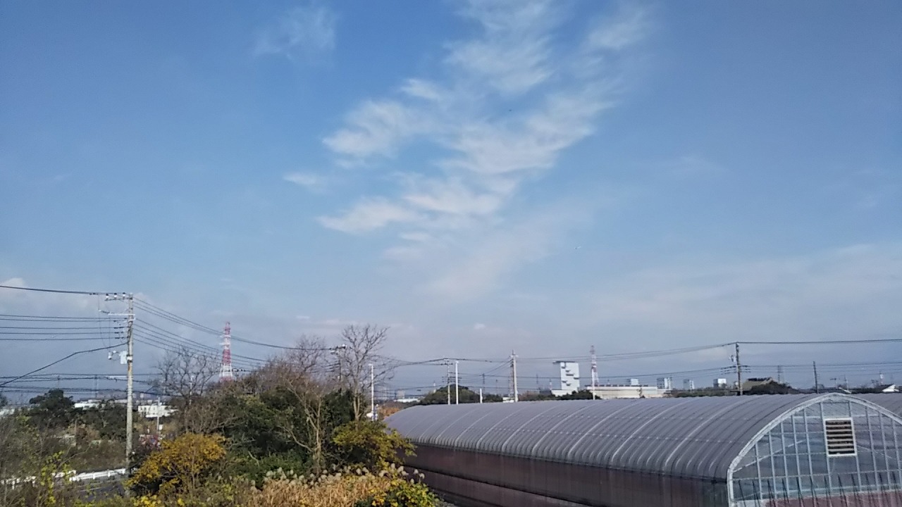 レオパレスアドゥスィール210号室 部屋その他