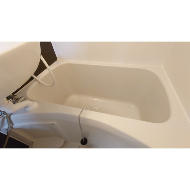 メゾンイーストワイド0202号室 浴室