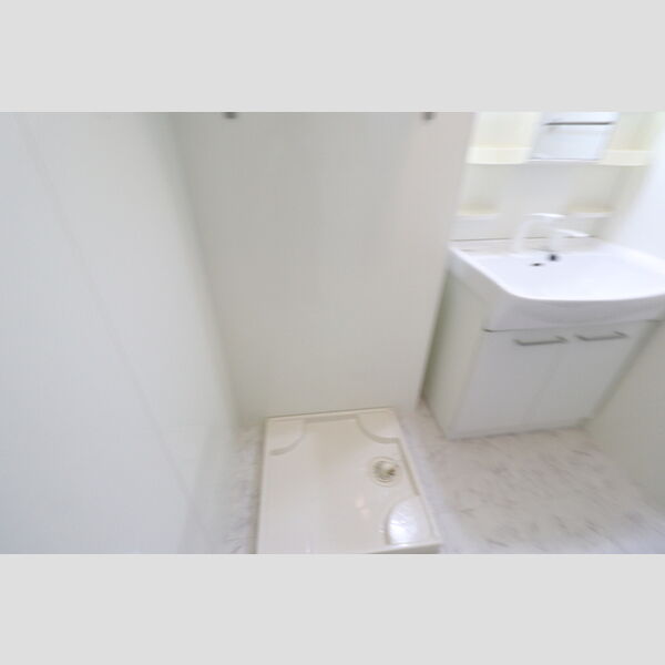 シャトレーウエスト明神106号室 洗面所