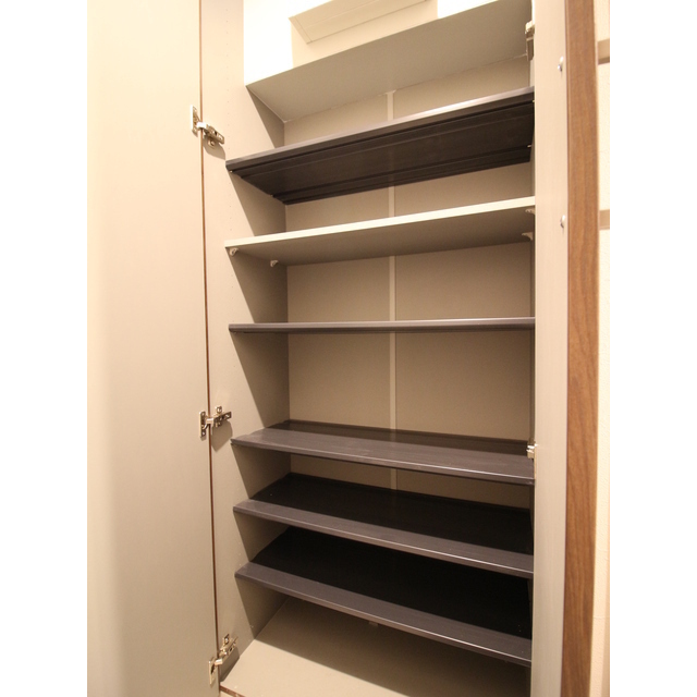 プレール・ドゥーク板橋本町Ⅲ501号室 シューズボックス