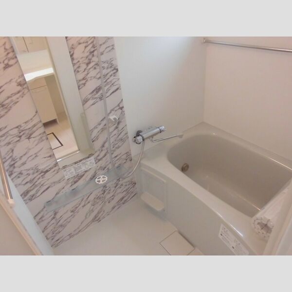 プラムブロッサム　イースト202号室 浴室